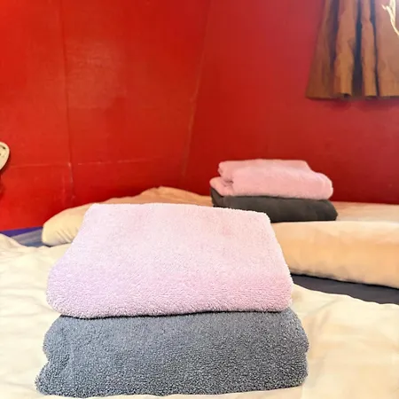 Hotelboot Zwaan