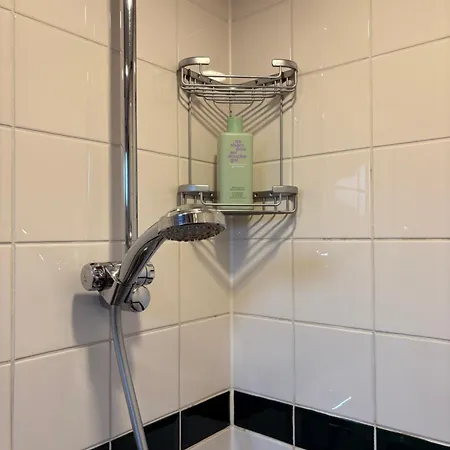 Hotelboot Zwaan *